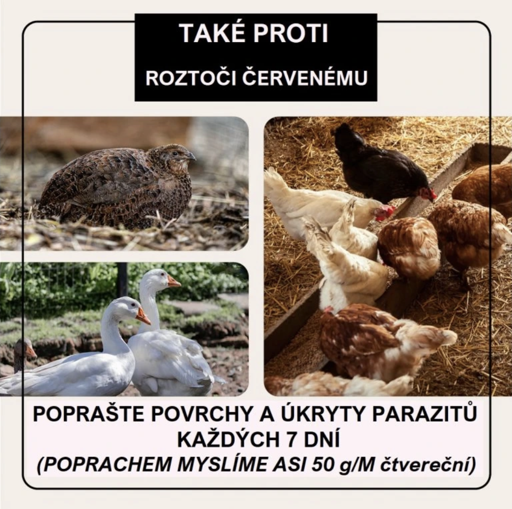 Screenshot 2026-02-04 at 16.49.07